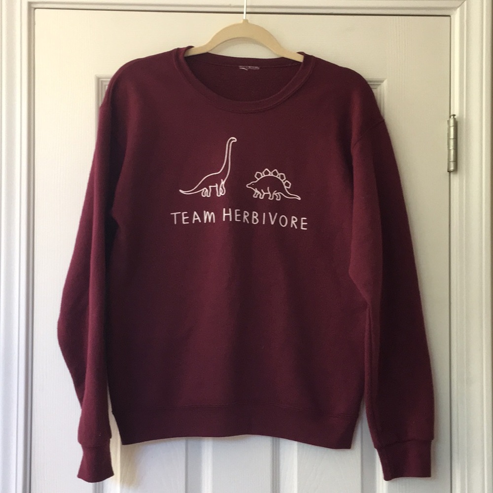 Wholesome Culture burgundy sweatshirt size S.
